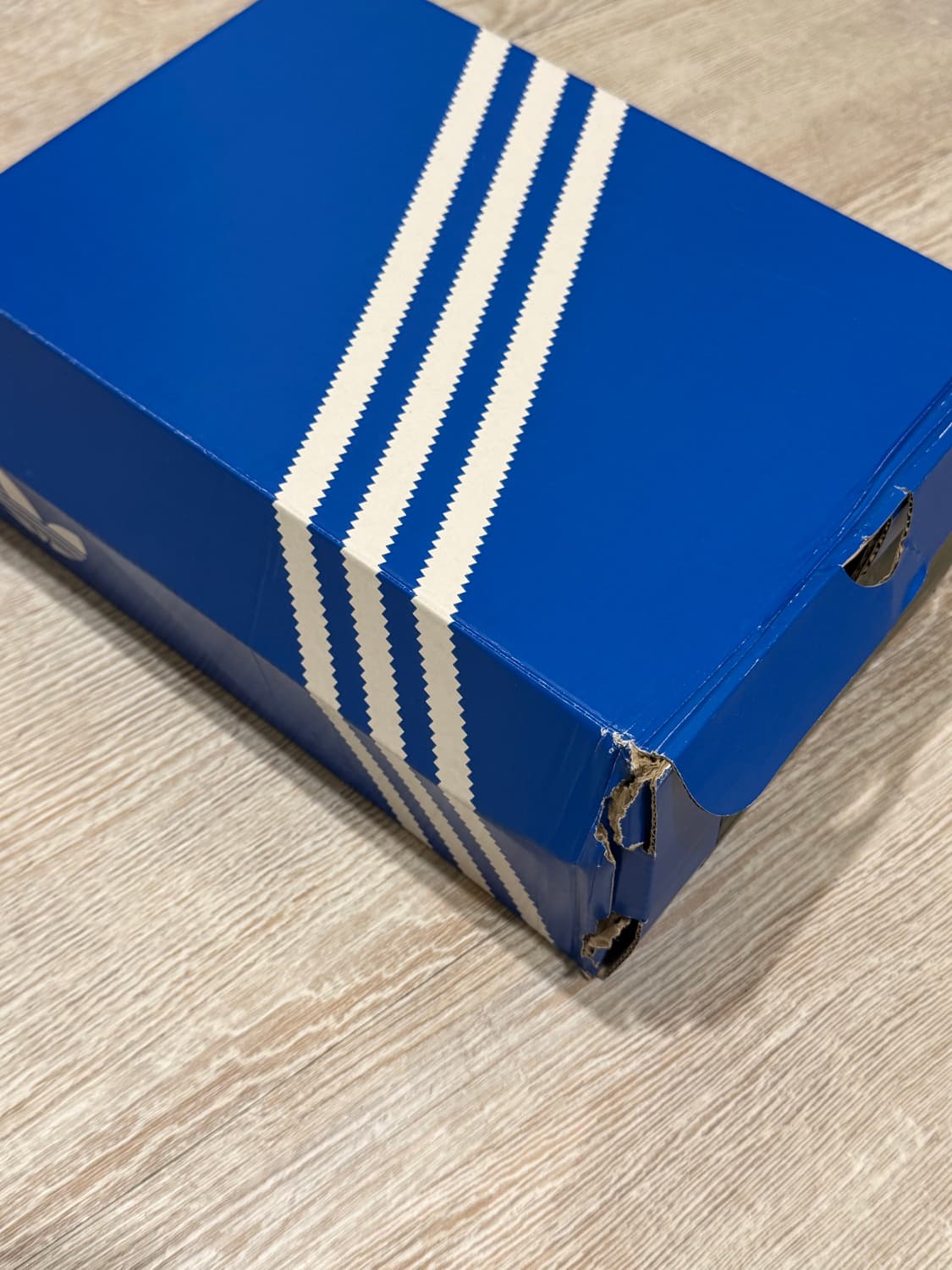 miaou ADIDAS PREDATOR ELITE MEI 아디다스 미아우 상품이미지7