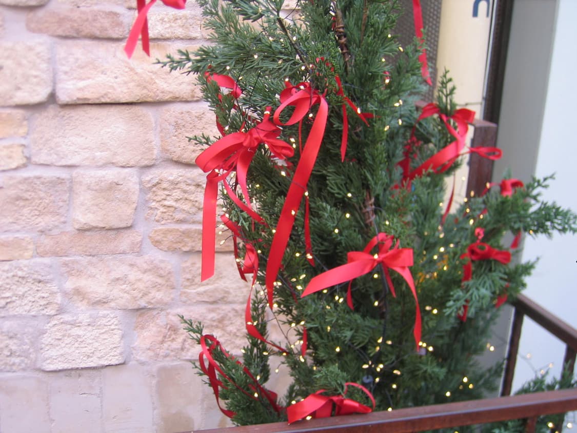 캐논 IXY digital 500 (ixus 500) 디카 (작례) 상품이미지9