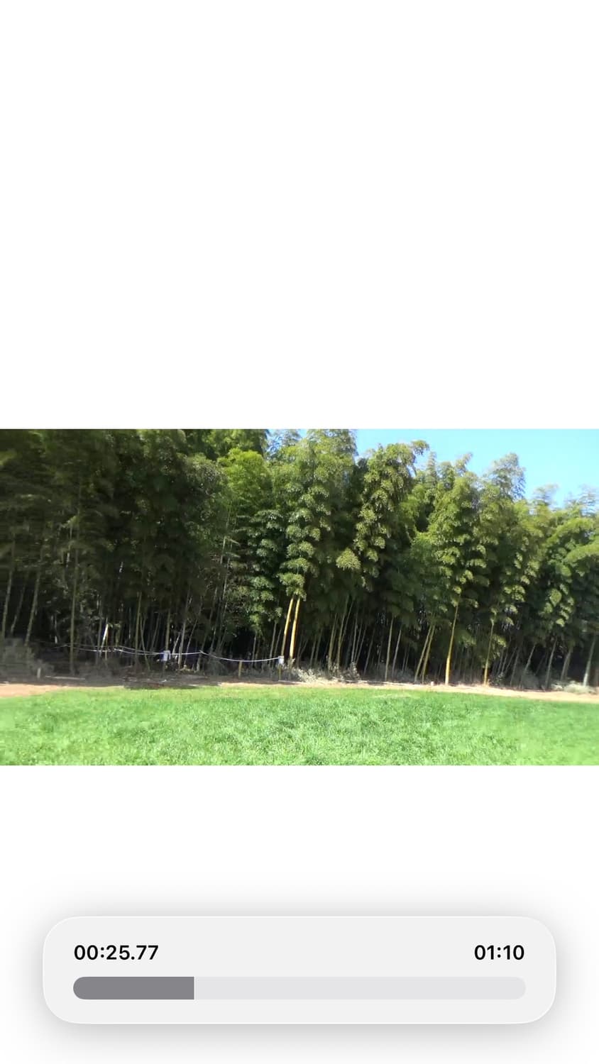 소니 핸디캠 HDR-CX450 (작례ㅇ) 상품이미지7