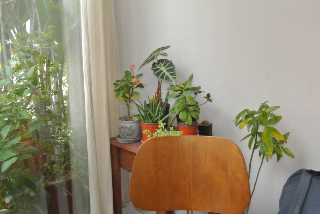 (작례 O) 니콘 1 J1 핑크 디카 풀박스 상품이미지9