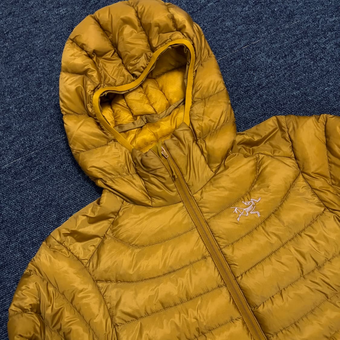 아크테릭스 세륨 LT 후디 여성용 상품이미지3