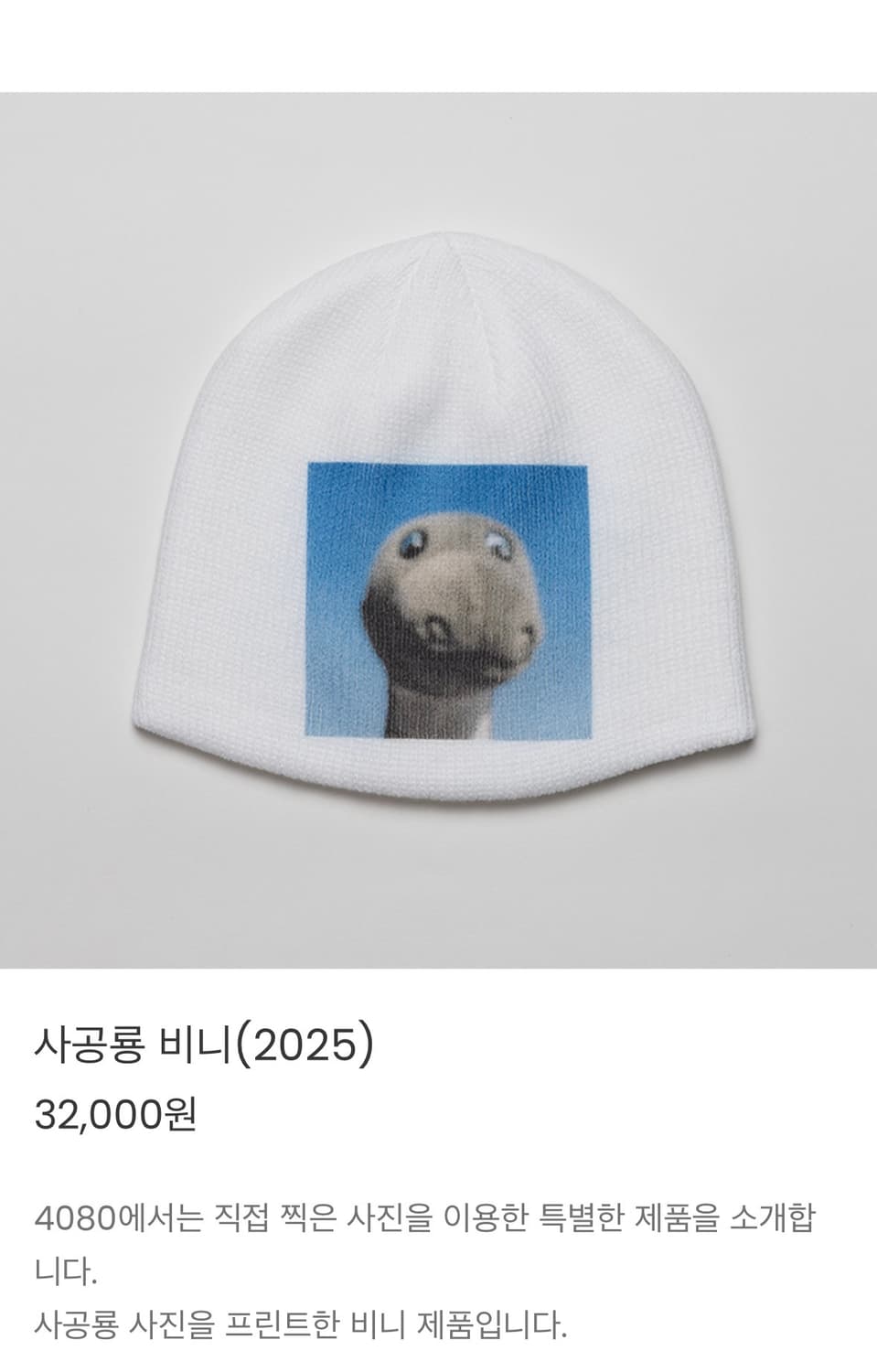 4080 사공룡 비니 /택포 상품이미지1