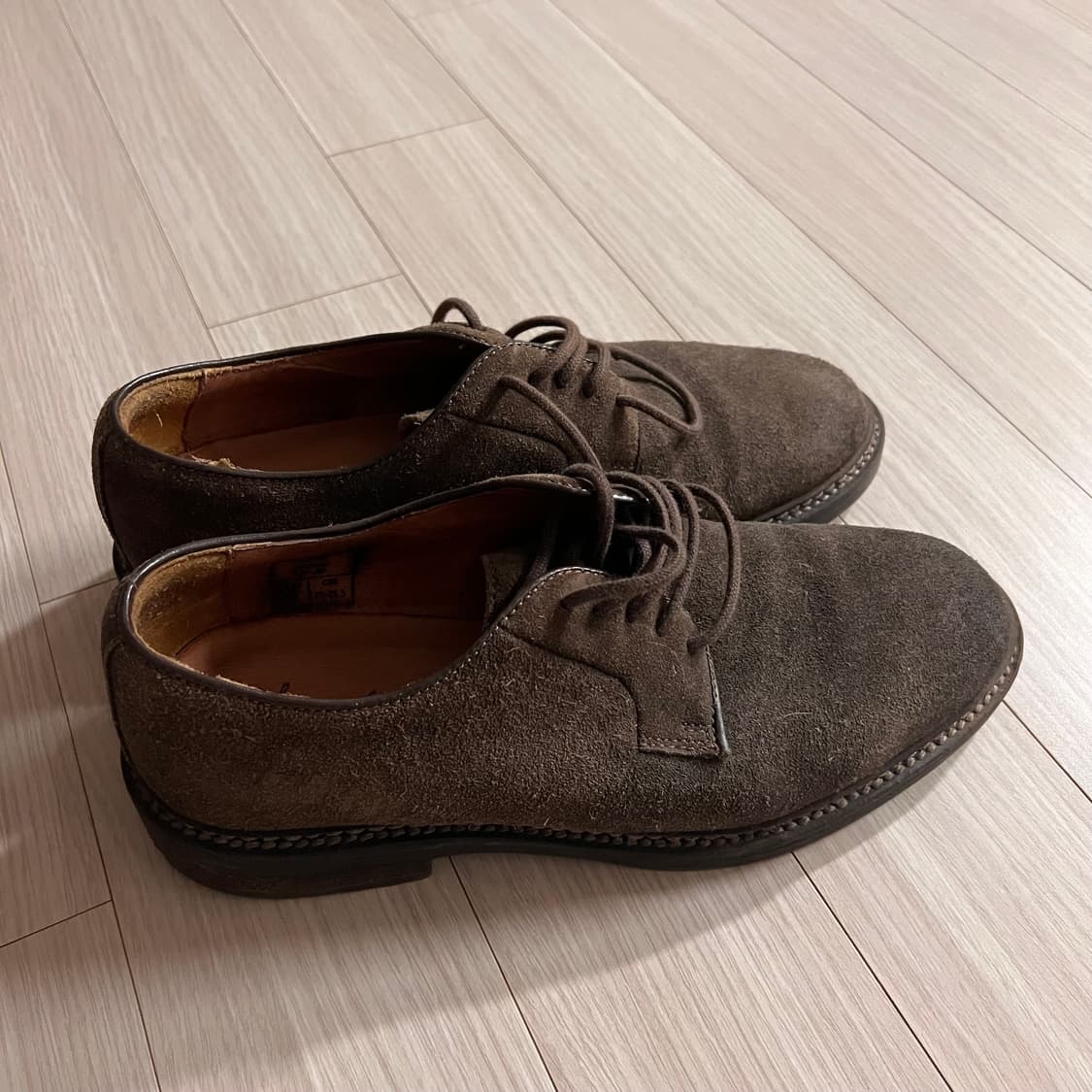 장까를로모렐리 스웨이드 더비 255~260 상품이미지5