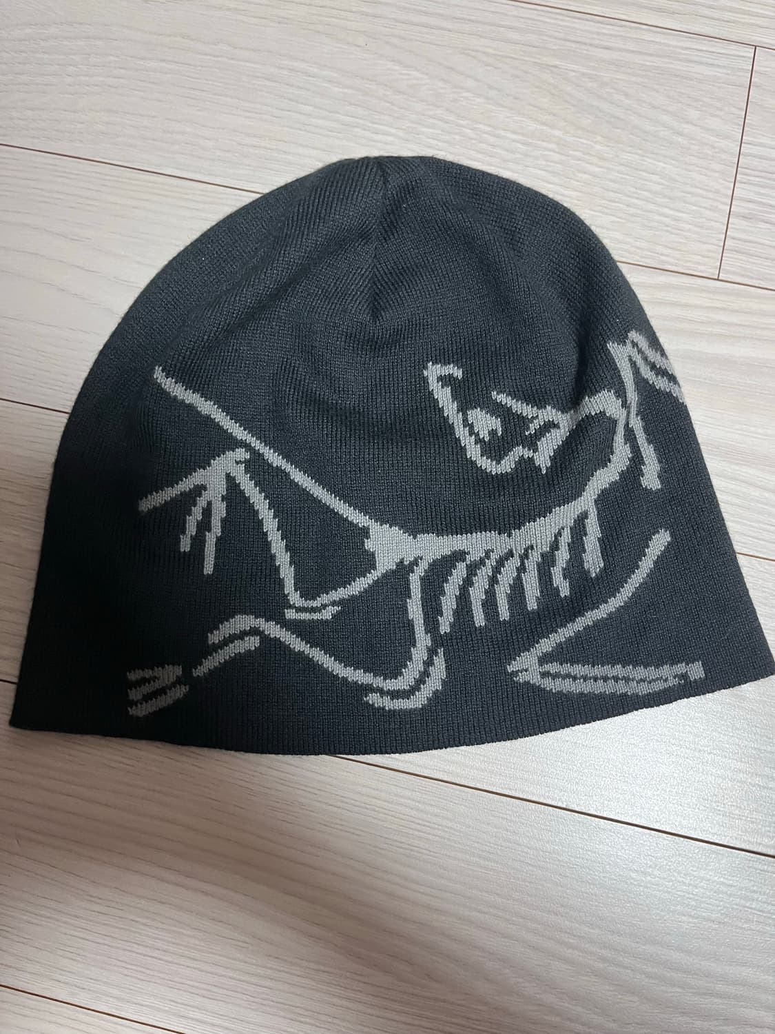 아크테릭스 비니 상품이미지1