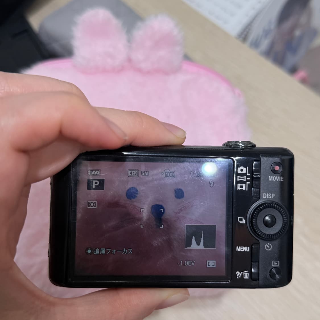 풀구성! 소니 사이버샷 DSC-WX100 (바로사용가능)최마태님 추천 상품이미지4