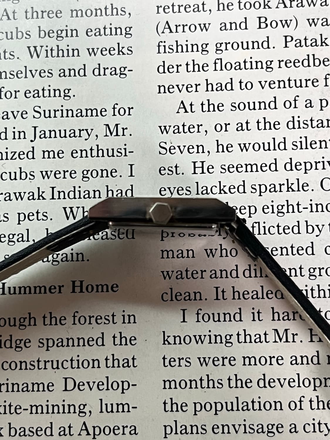 YSL × Citizen Vintage Quartz  상품이미지3