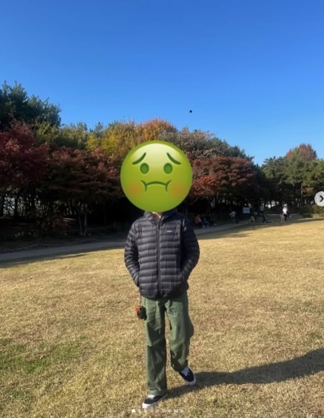 [L]파타고니아 멘즈 다운 스웨터 후디 ,경량패딩 상품이미지2