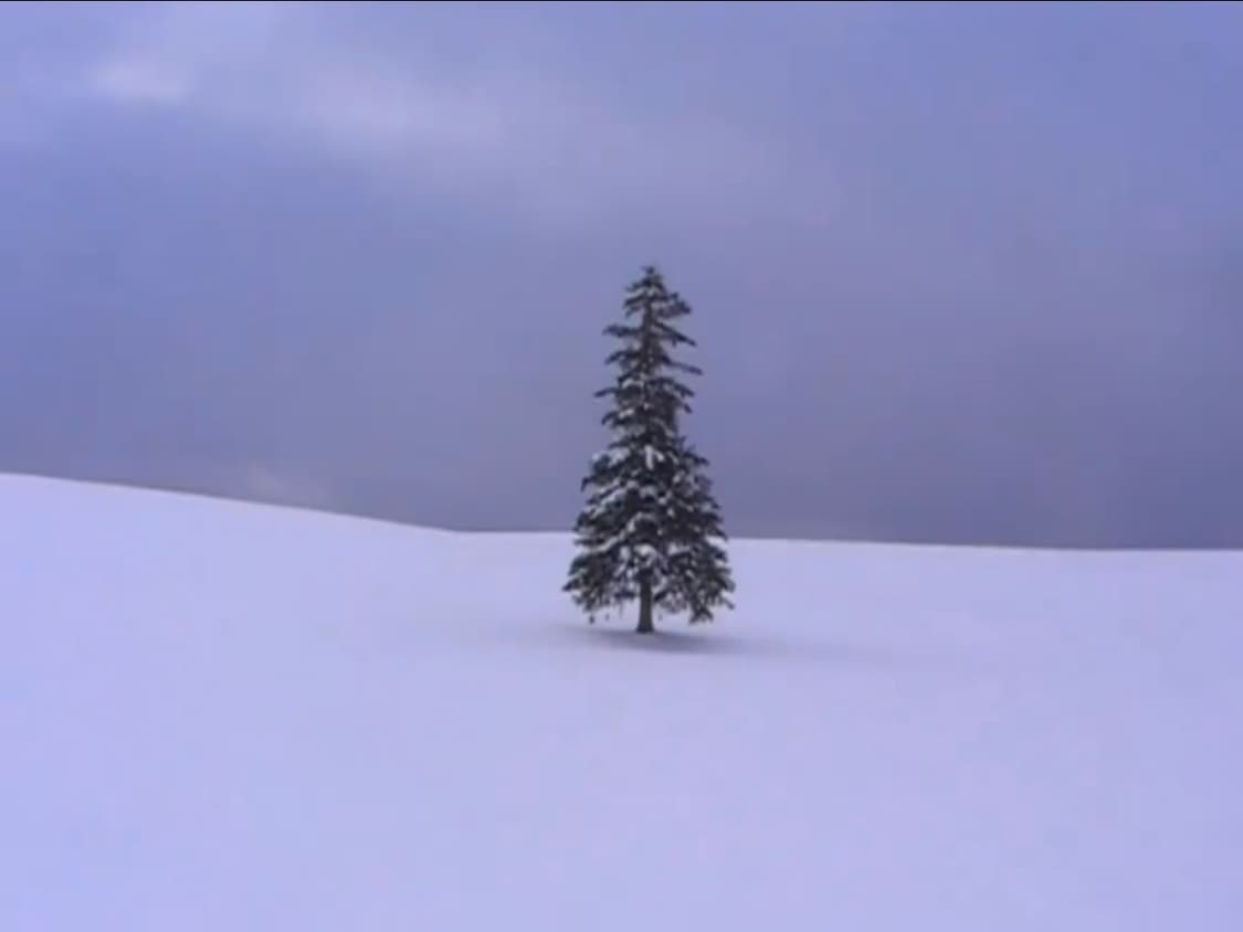 JVC 빅터 victor GZ mg575 빈티지캠코더 상품이미지6