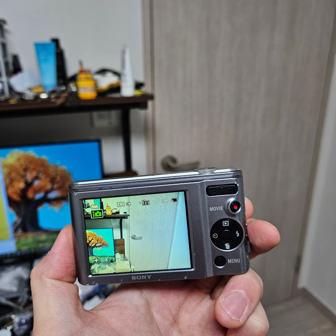 (아이브 레이 디카) 소니 사이버샷 DSC-W810 실버 상품이미지6