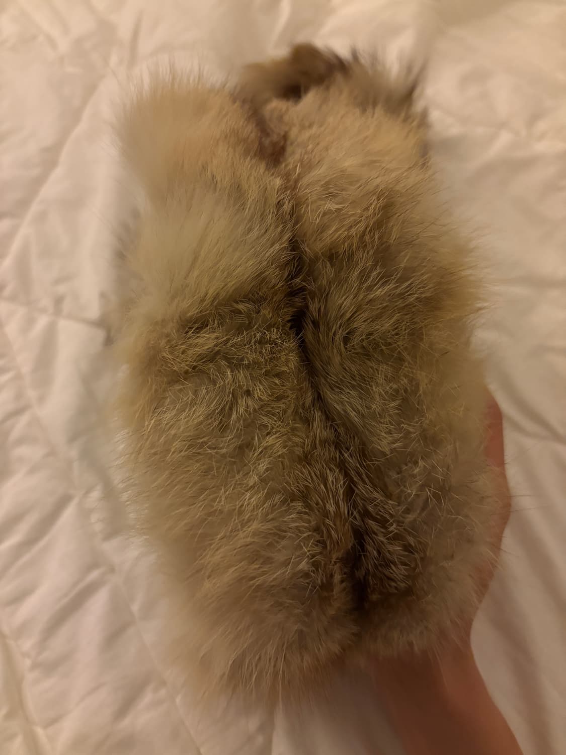레오파드 퍼 모자 상품이미지2