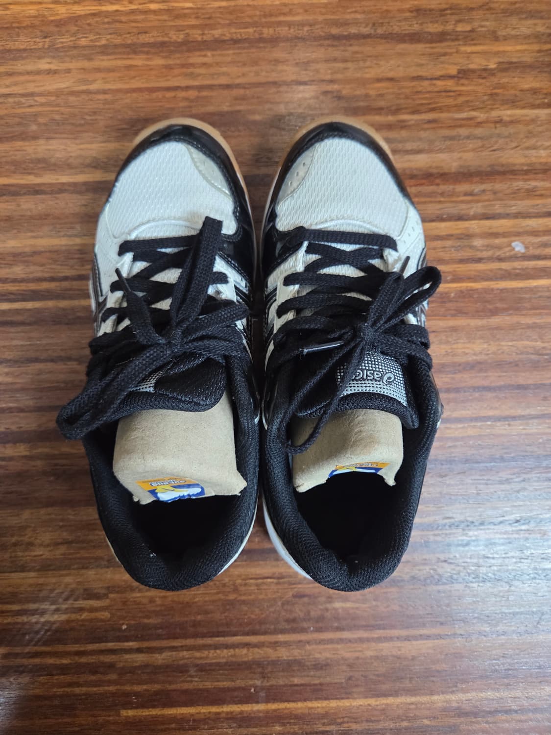 아식스 리브레 cs 인도어화 245 상품이미지2