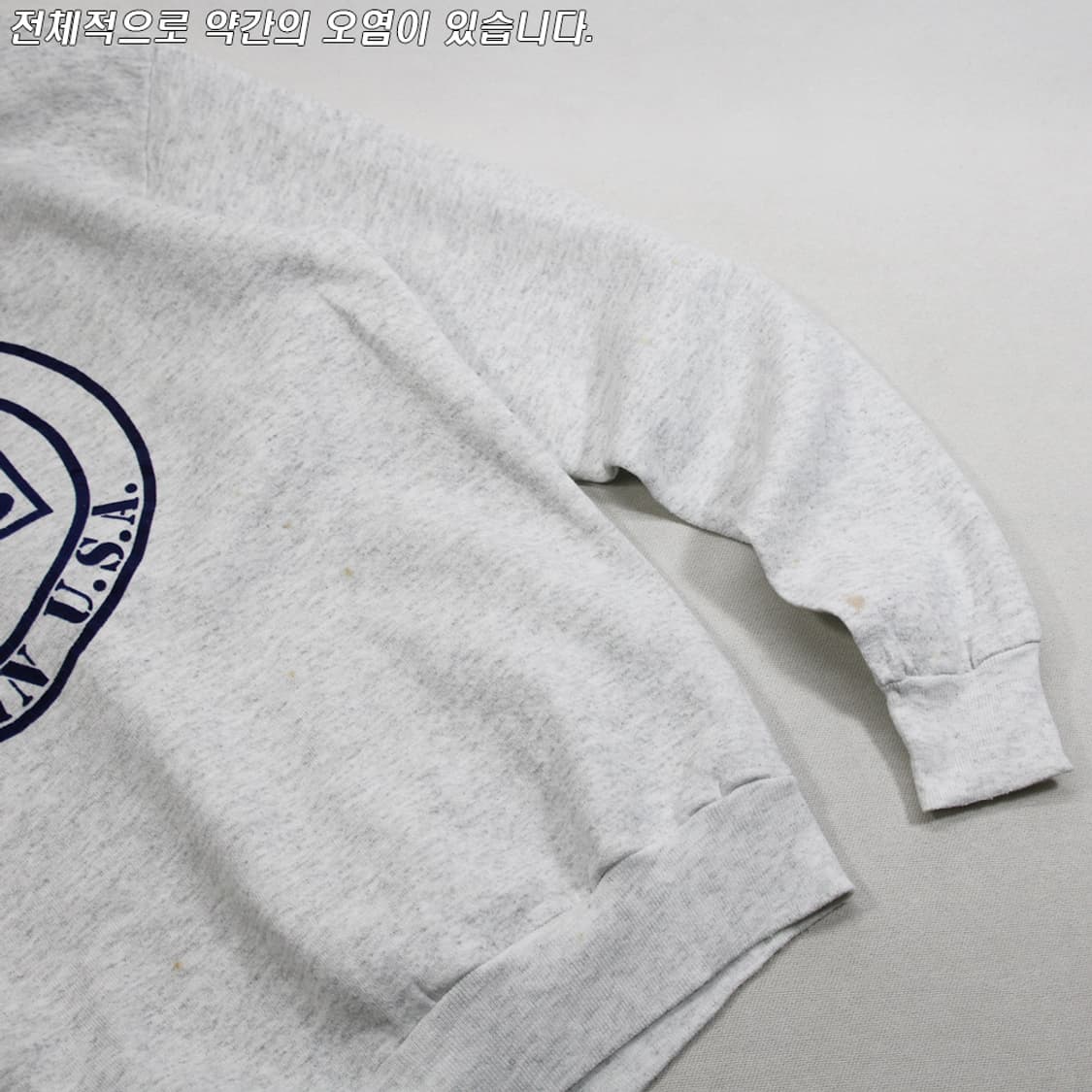 (착용컷) Lee 프린팅 스웻 셔츠 (남성용 98-100) 상품이미지6