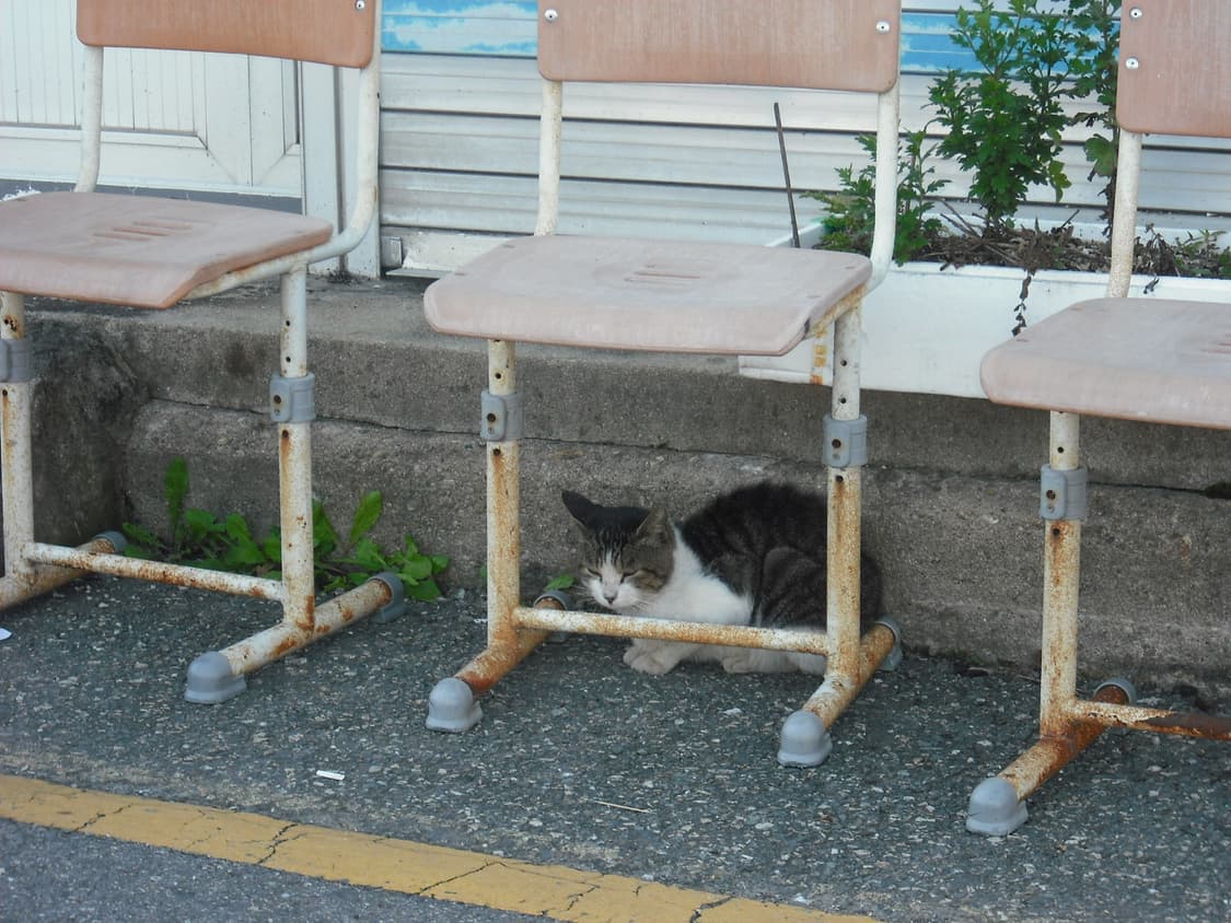 (슬기디카 & 작례있음O) 후지필름 파인픽스 J15 상품이미지2