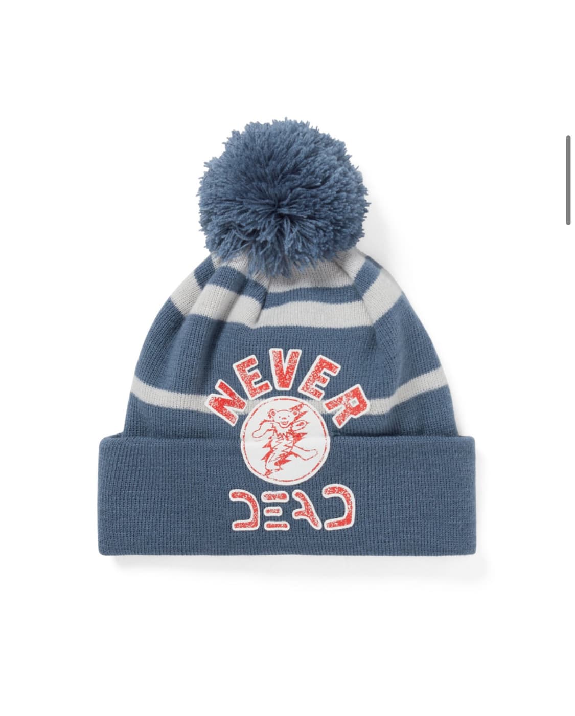 디스이즈네버댓 그레이트풀데드 비니 상품이미지1