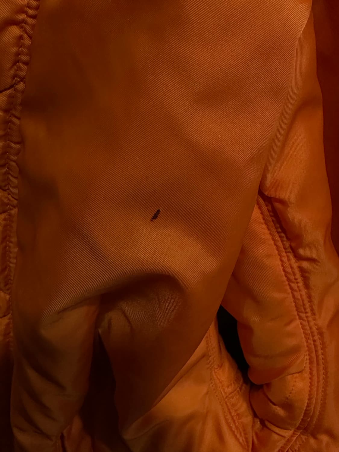 Alpha Industries ma-1 상품이미지7