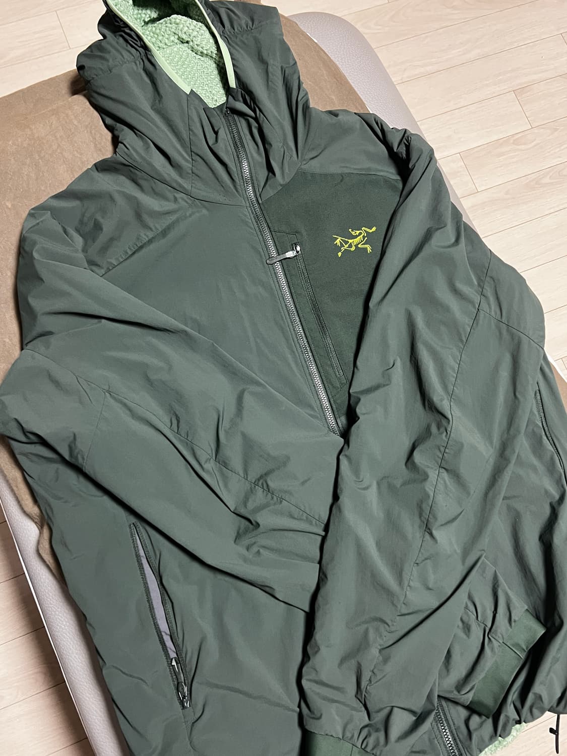 아크테릭스 프로톤 FL 후디 상품이미지1