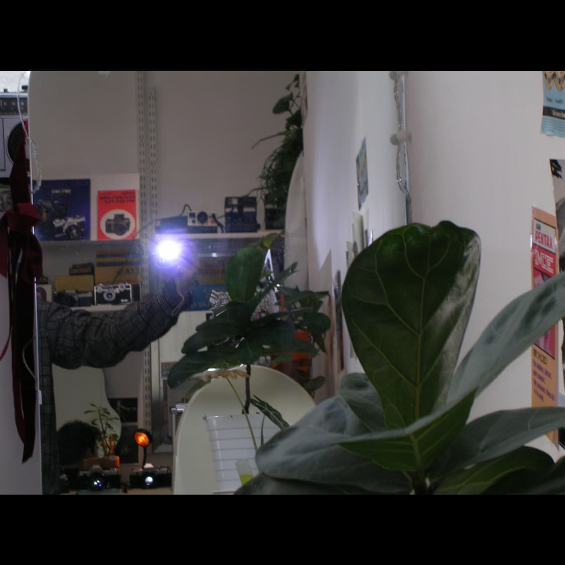 작례⭕️ 니콘 쿨픽스 3200 상품이미지8