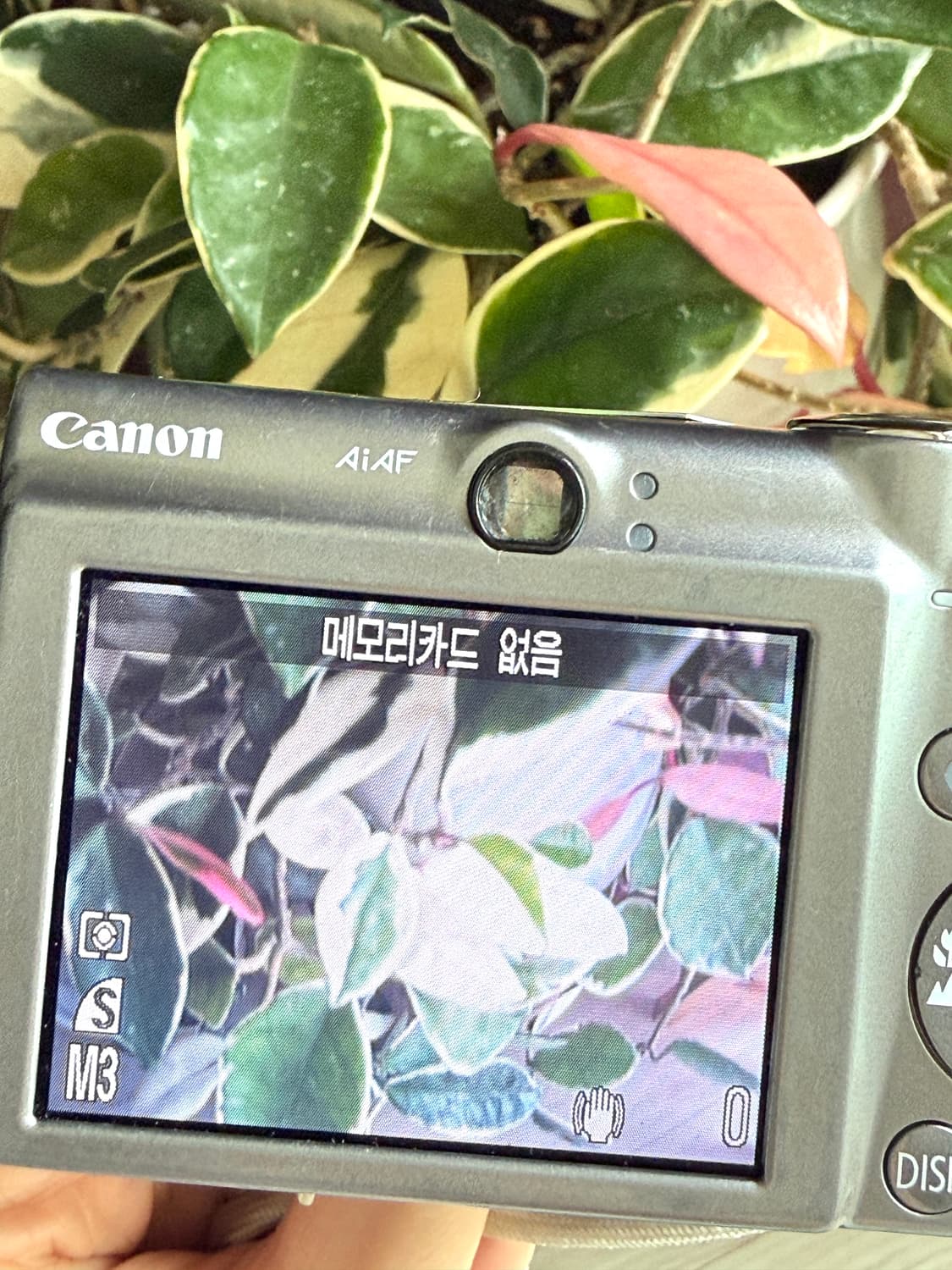 *박스풀구성* 캐논 디카 익서스 canon ixus 850 상품이미지7