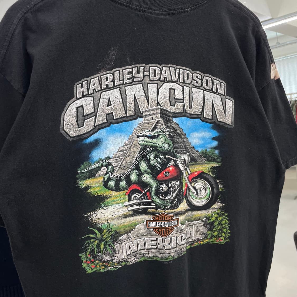 할리데이비슨 불독 도마뱀 그래픽 페이딩 빈티지 반팔 티셔츠 상품이미지8