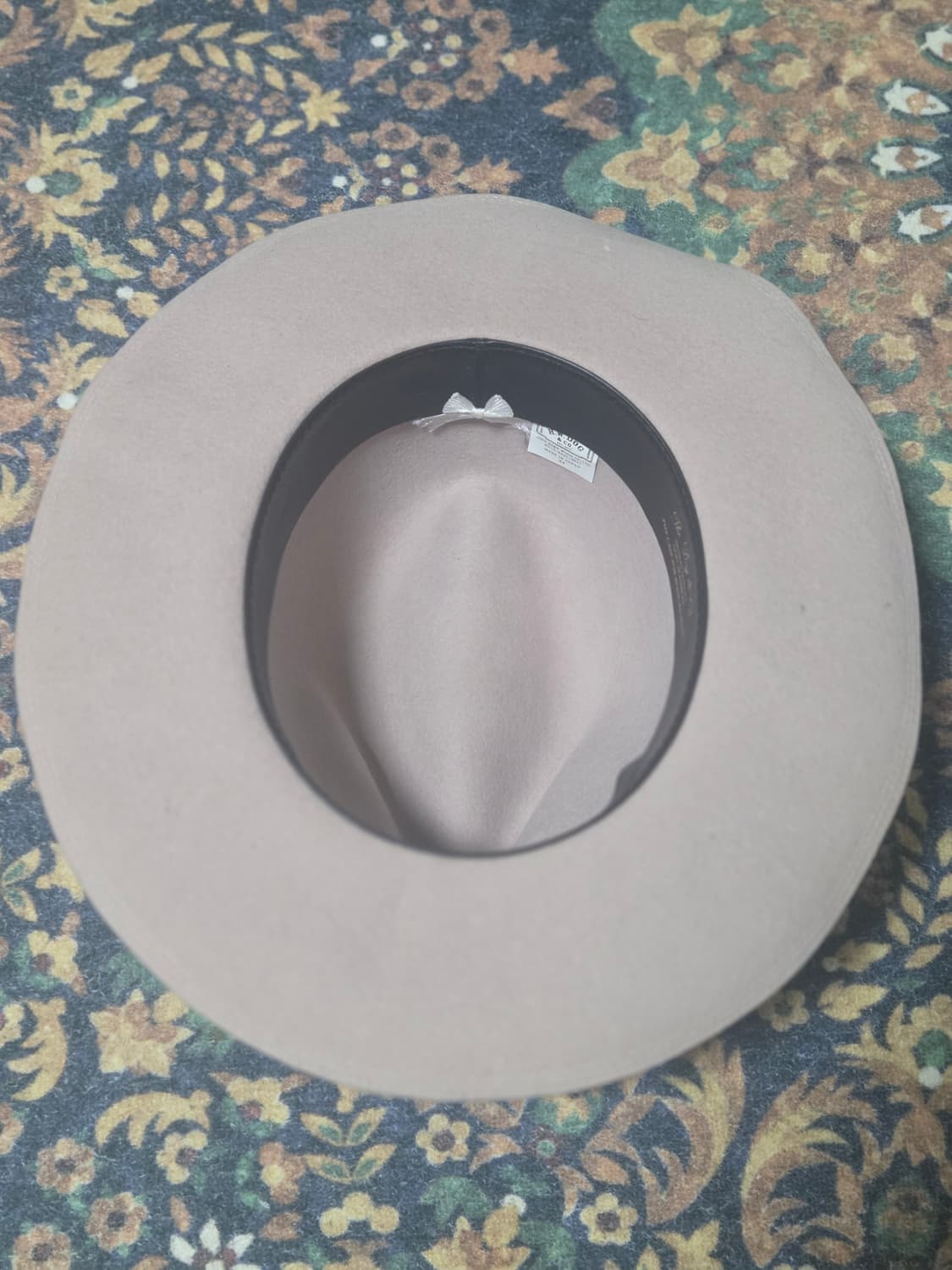 도그엔코 페도라 상품이미지5