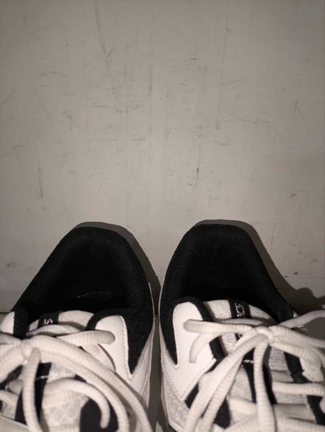 285mm 아식스 리브레CF 인도어화 체대입시 상품이미지5