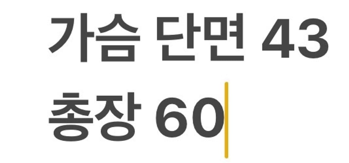 [정품/S] 아크테릭스 아톰LT후디 바람막이자켓 b10 상품이미지9