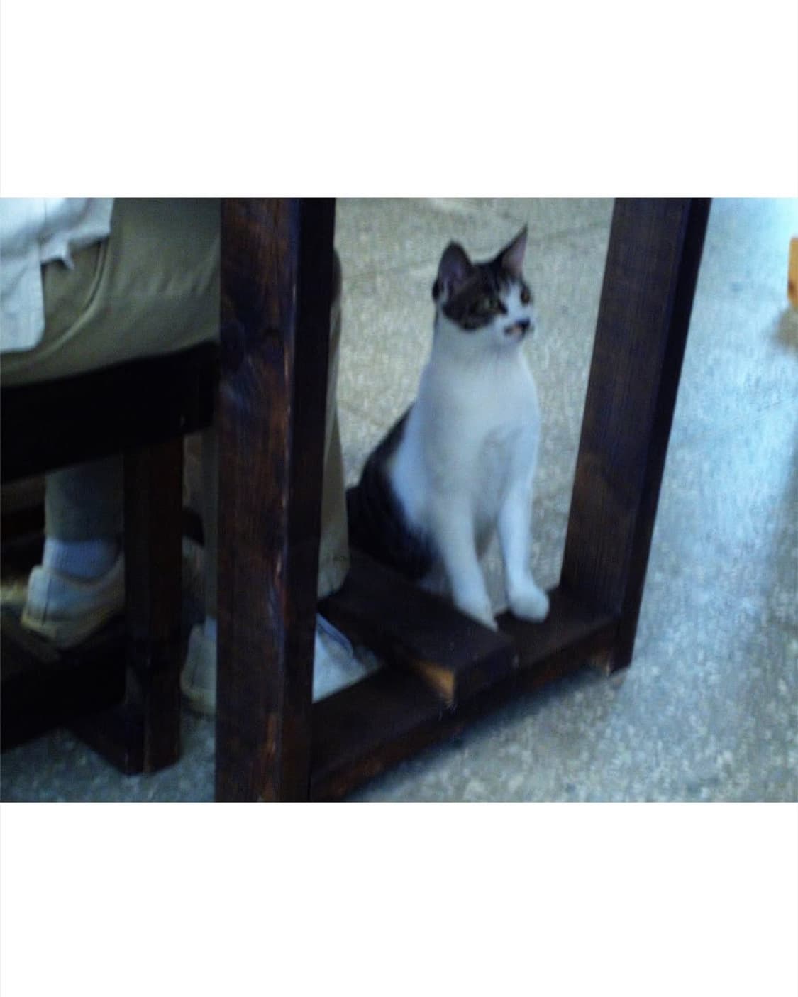 JVC GC-FM1 Black 상품이미지4