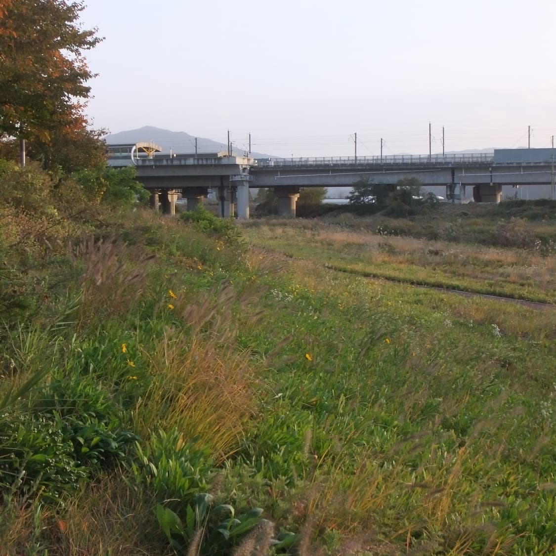 Finepix Z800exr (✨A급/🎁풀패키지) 상품이미지10