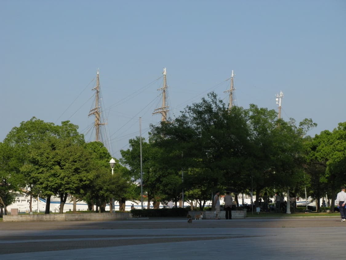 캐논 파워샷 Canon PowerShot G10 블랙 상품이미지2