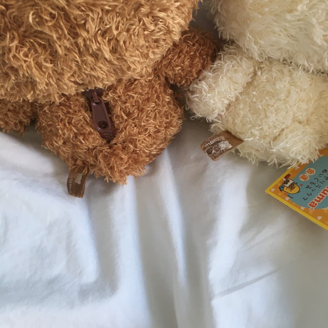 리락쿠마 코리락쿠마 키이 뽀글이 세트 상품이미지3