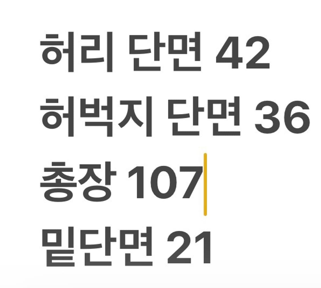[정품/L] 파타고니아 베이지색 카고 조거 팬츠 b15 상품이미지6