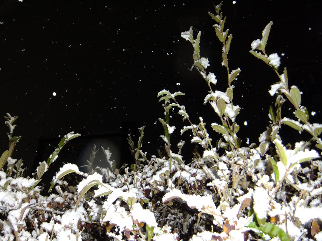 후지 파인픽스 Z900EXR 디카 (작례O) 상품이미지8