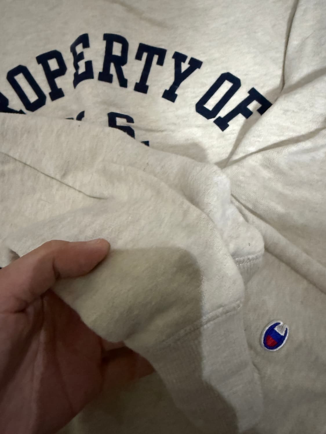 챔피온 스웻 맨투맨 오트밀 L 상품이미지3