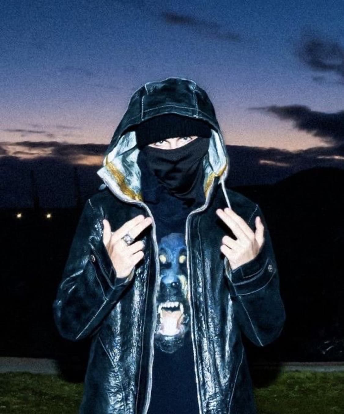 리카르도티시 지방시 로트와일러 후드 L 상품이미지6