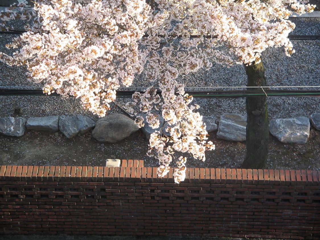 캐논 PowerShot A400 실버 디카 상품이미지6