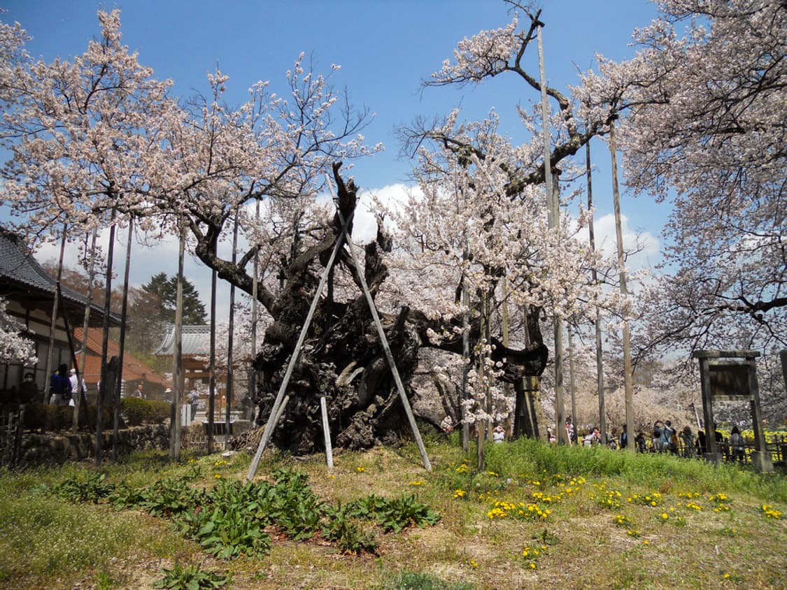 니콘 쿨픽스 Nikon COOLPIX S4000 블랙 상품이미지2