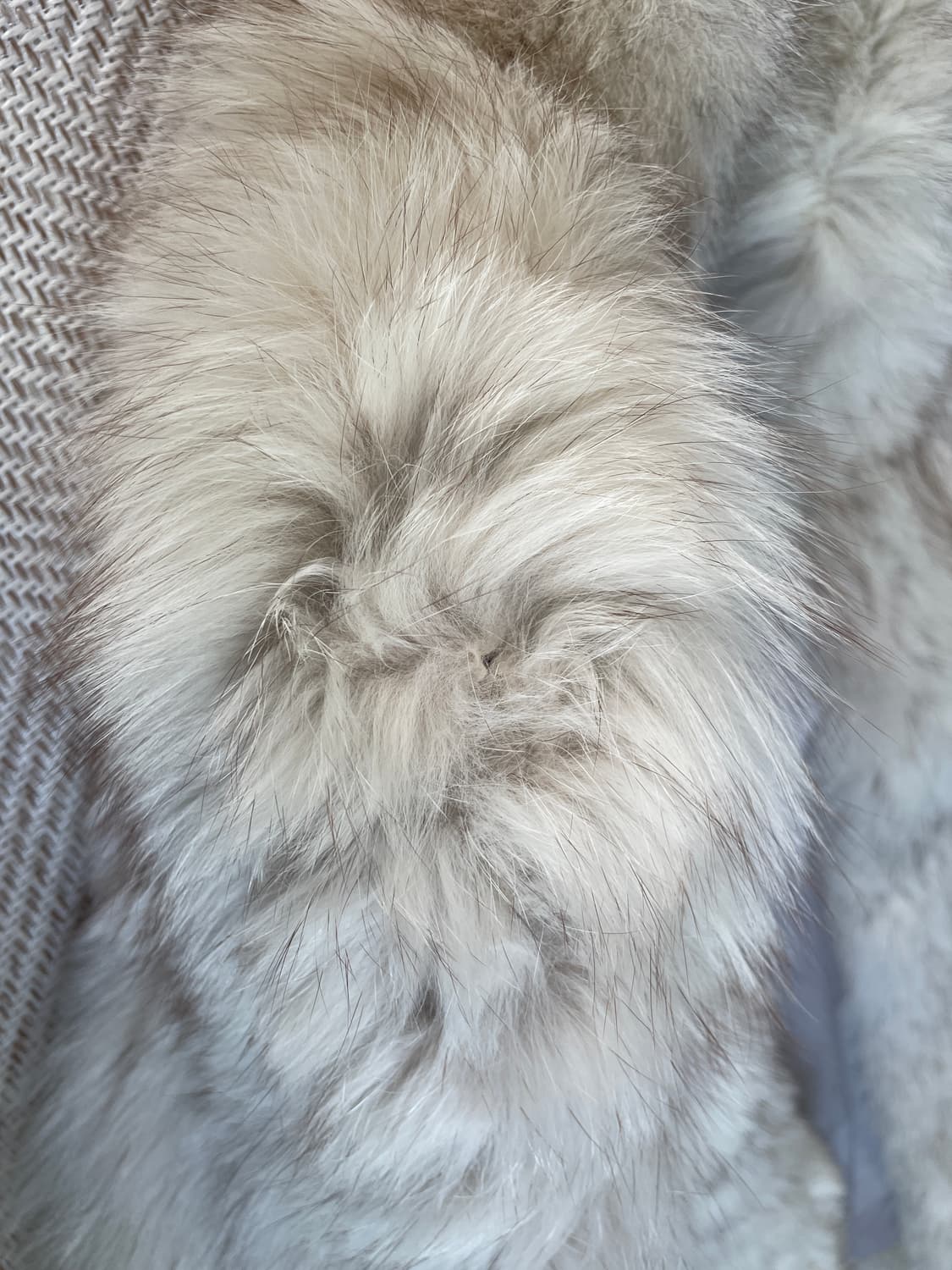 시가 폭스 퍼 자켓 J03330 상품이미지5