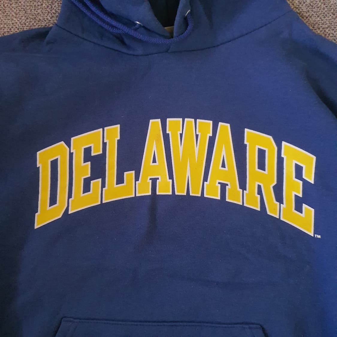 챔피온  후드 기모 No.34 상품이미지3