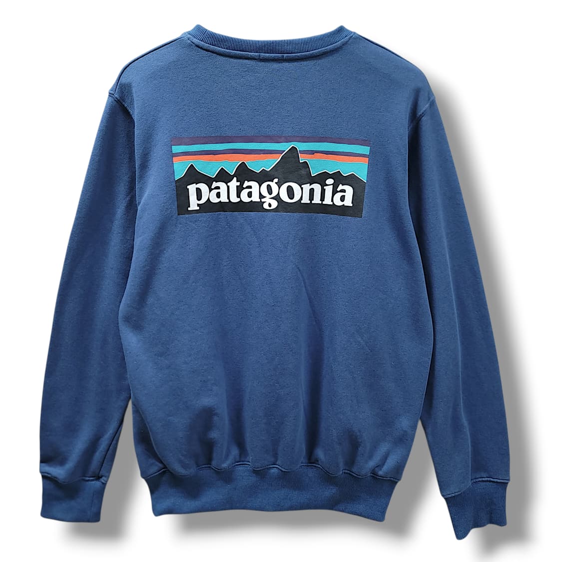 [L] 파타고니아 블루 피츠로이 업라이절 크루넥 맨투맨 상품이미지2