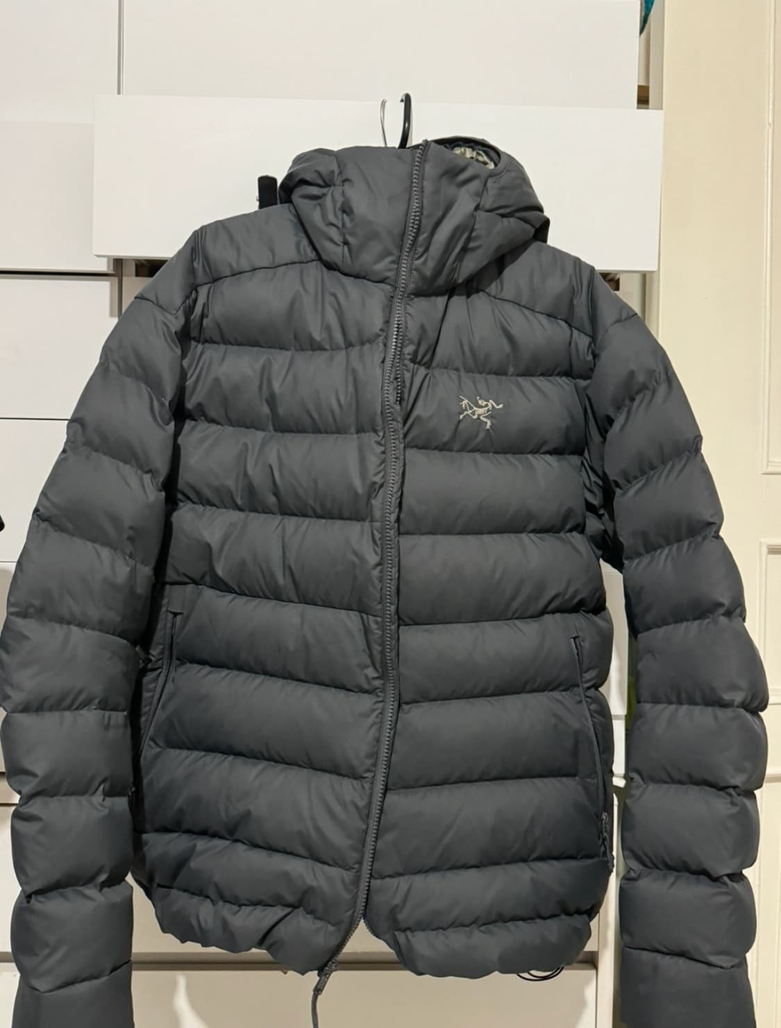 아크테릭스 토륨 AR 후디 글리치 색상 XL  상품이미지1