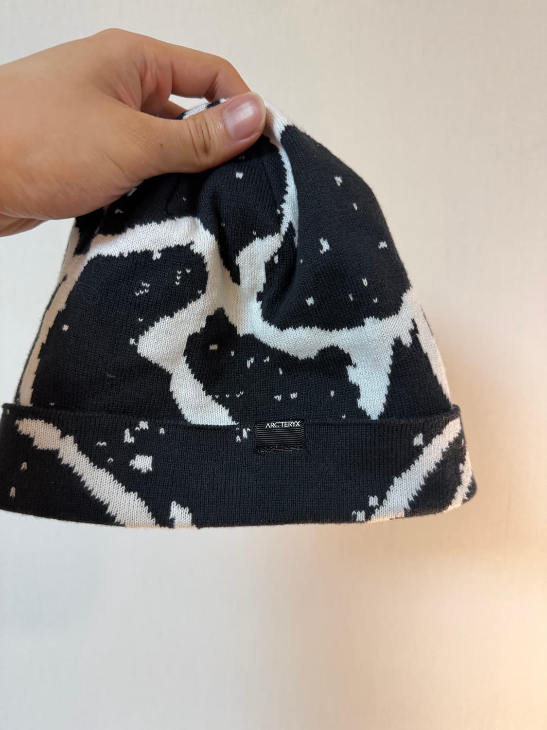 아크테릭스 그로토 비니 상품이미지1