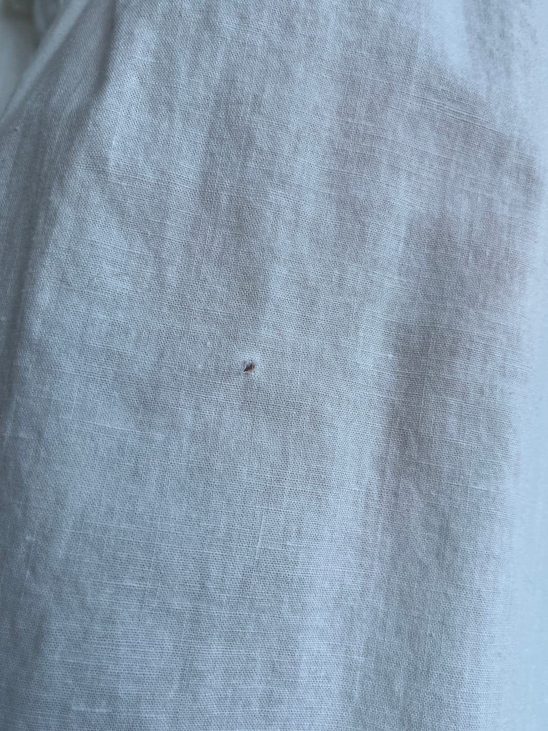 퍼프 레이스 프릴 반팔 블라우스 상품이미지4