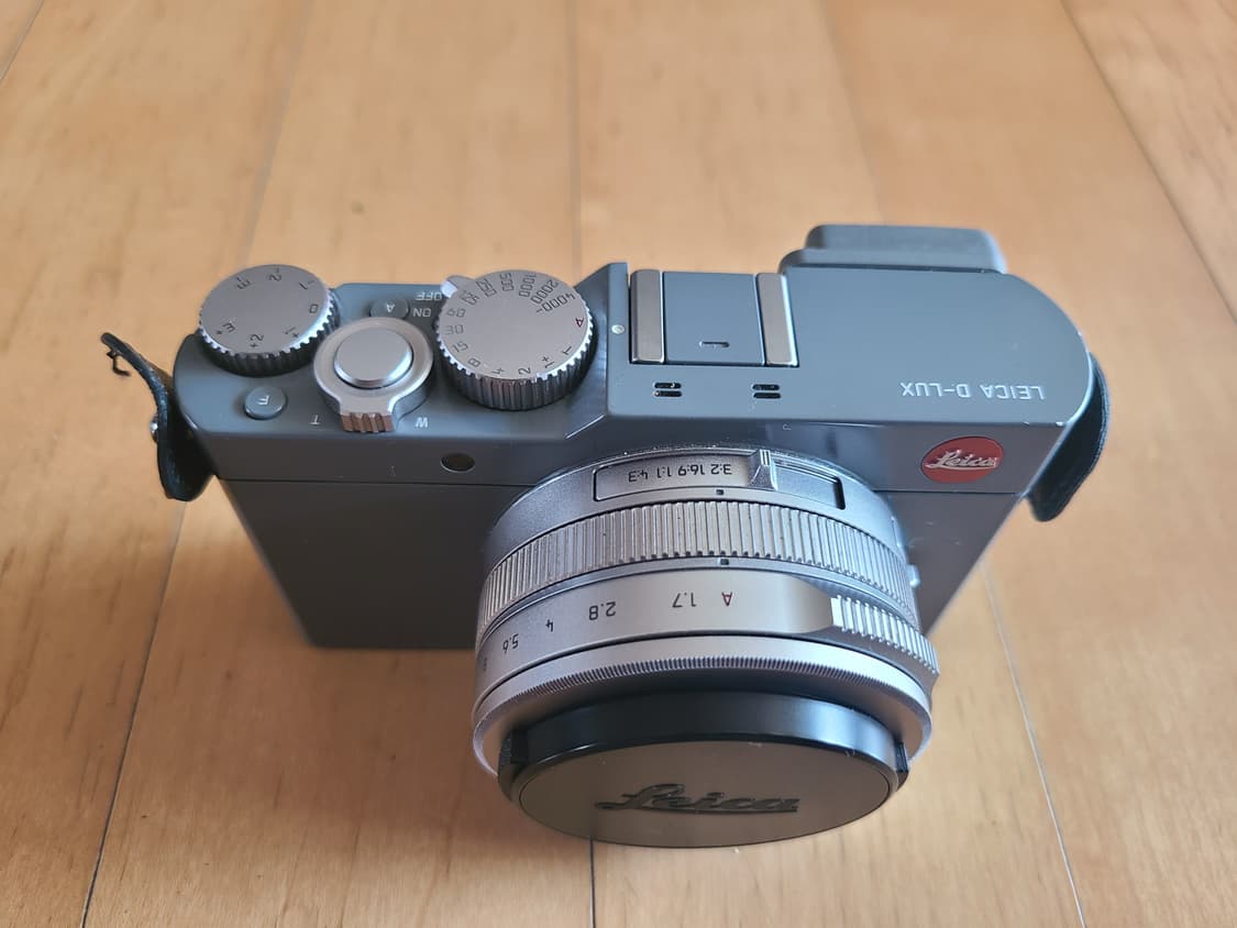 라이카 D-LUX 109 솔리드 그레이 상품이미지4