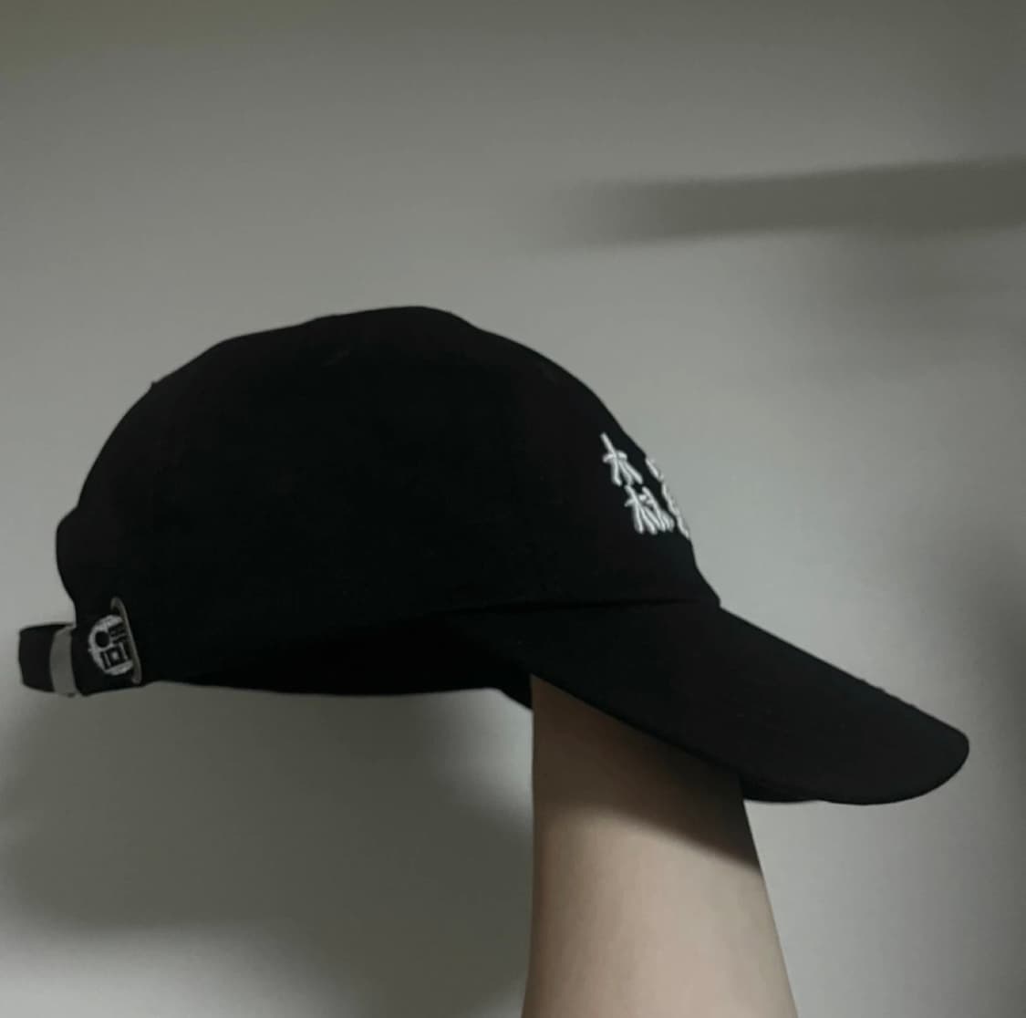 침착맨 삼라만상 볼캡 상품이미지2