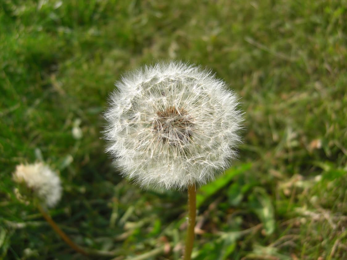 [은채디카&딸기우유!] 카시오 Exilim EX-Z1080 디지털카메라 상품이미지10