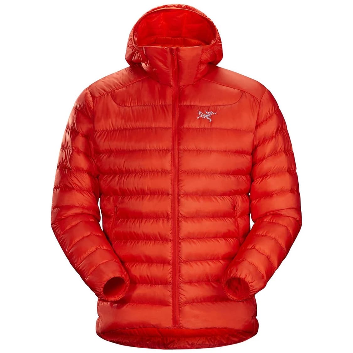 아크테릭스 세륨 후디 라지 상품이미지10