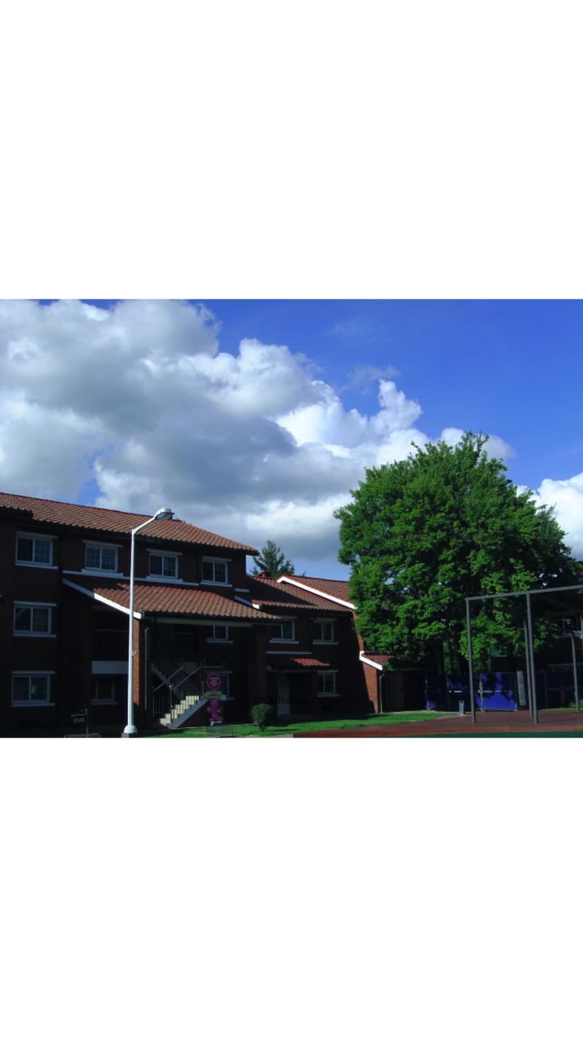 Rollei Comapctline55 상품이미지4