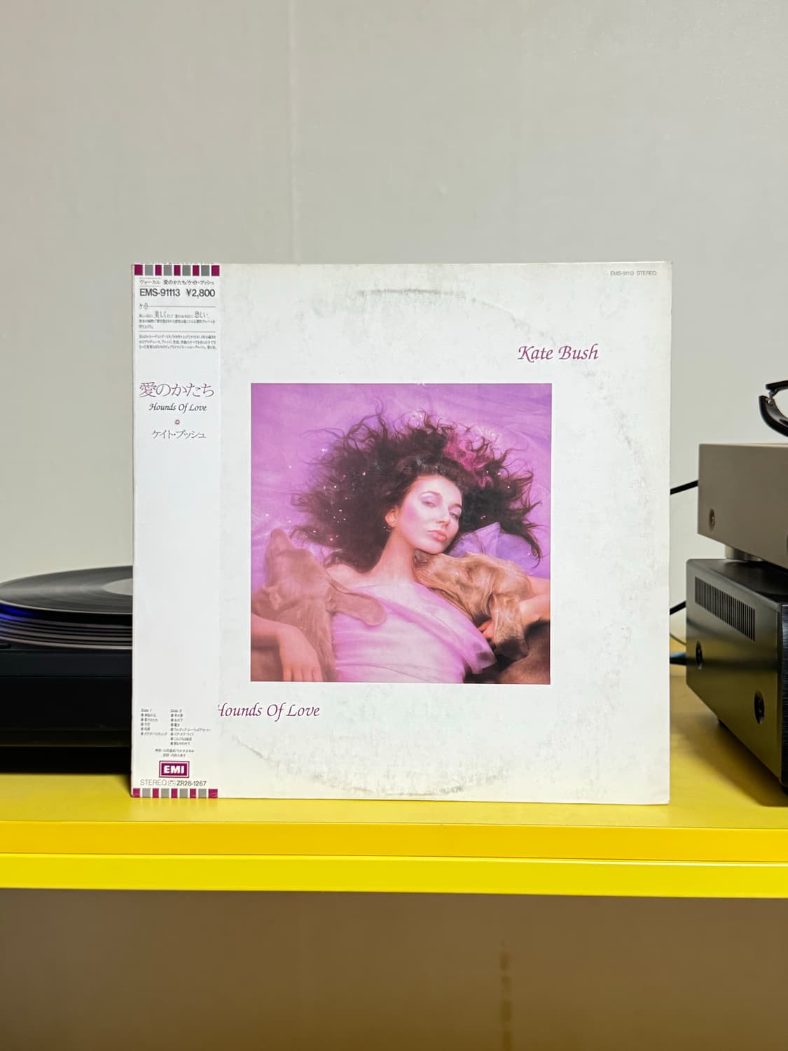 Kate Bush 기묘한 이야기 LP 판매해요 상품이미지1
