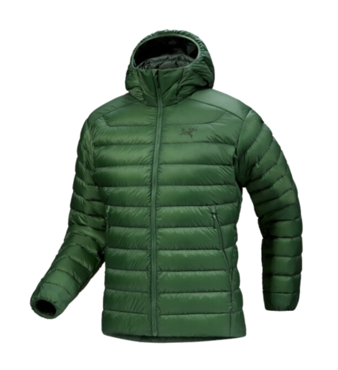 아크테릭스 세륨 패딩 XL 에덴 상품이미지1