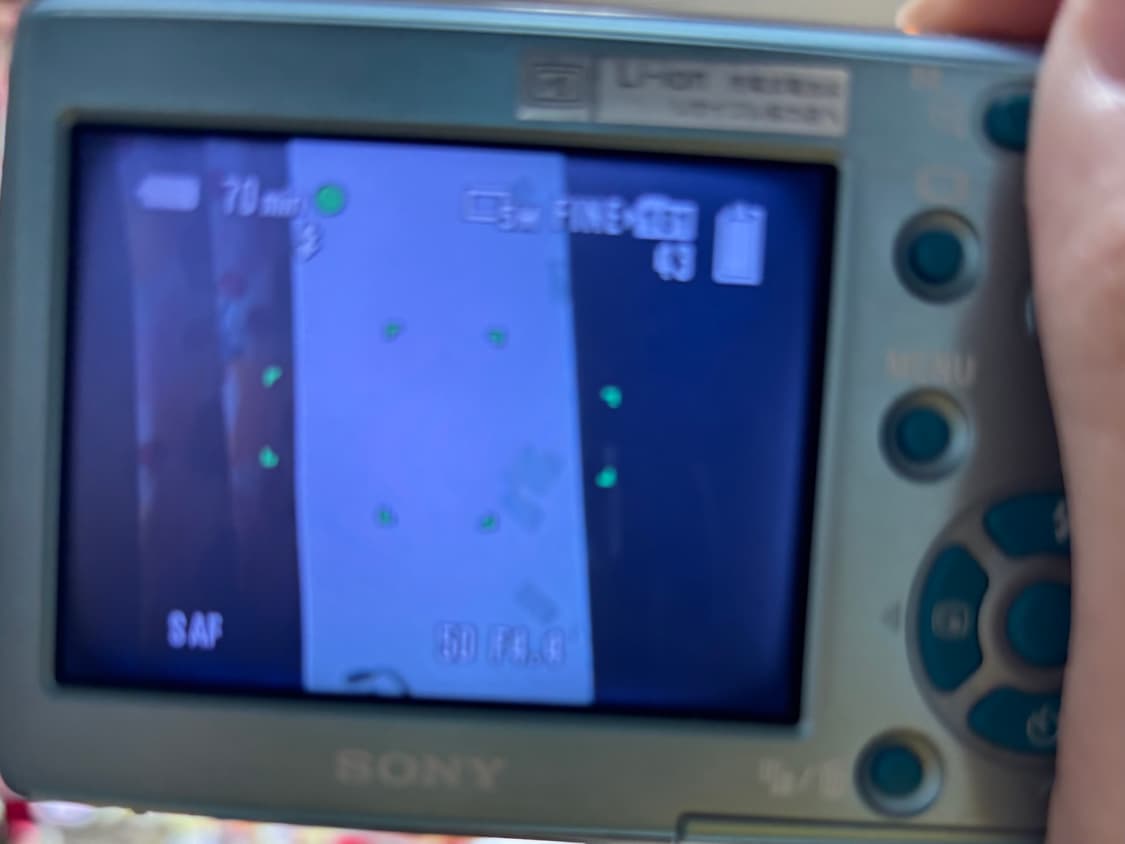 소니 사이버샷 DSC-T33 상품이미지8